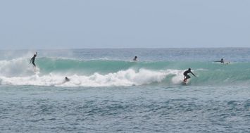 Certains surfeurs de Tamarin feraient régner la terreur sur ce spot très apprécié par les amateurs de glisse.