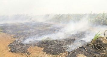 L’incendie qui s’est déclaré dans la région de Solitude a donné du fil à retordre aux sapeurs-pompiers notamment en raison des fortes rafales qui soufflent sur l’île, ce vendredi 5 septembre.