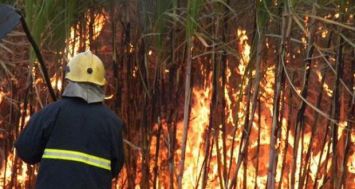 (Photo d’archives) Des incendies se sont déclarés dans des champs-de-cannes à Médine et à Flacq ce dimanche 7 septembre.