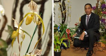 Le «Best Orchid on Show» est allé à Ronny Pazot pour son Paphiopedilum «Mount Toro». (Photos : Clifford Francisque)