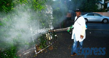 Les autorités ont mené une série d’épandages d’insecticide après la découverte de trois cas de dengue.