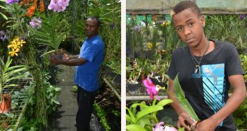 Deux des employés du Coin Vert, Sanjay, jardinier en chef, et Juliano, veillent au bien-être des orchidées. (PHOTOS : VASHISH SEETUL)
