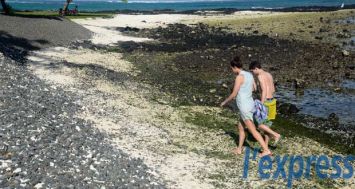 Des tonnes de sable prendront la place des macadams et des cocotiers seront plantés pour embellir la plage de Trou-d’Eau-Douce. DEVIND JHUNDOO 