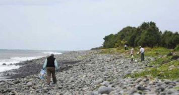  Un expert malaisien (g) cherche des débris du vol MH370 sur la plage de Saint-André de La Réunion, le 6 août 2015.