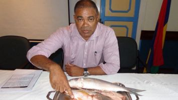Lors d’un point de presse le 2 octobre, le commissaire Payandee a fait la démonstration que les poissons pêchés ont des œufs dans le ventre. Pour lui, il ne faut pas étendre la saison de la pêche à la senne.