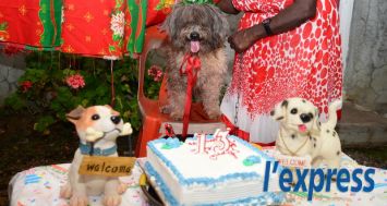 Radha Anamalay, une habitante de Chamouny, célèbre chaque année, l’anniversaire de son chien Boubou…