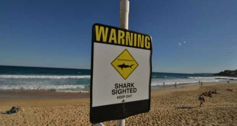 Un panneau indiquant la présence de requins sur une plage de Newcastle en Nouvelle-Galles du Sud le 17 janvier 2015.