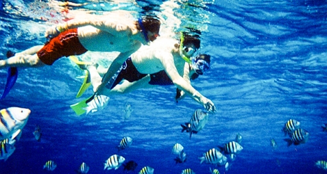 L’on peut découvrir des variétés de poissons grâce au «snorkelling».