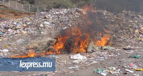 Du matériel pour pêche illégale a été brûlé au dépotoir de Roche-Bon-Dieu, à Rodrigues, le jeudi 28 avril.