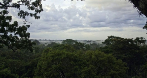 Vue sur le Ecuadorean Yasuni National Park qui recèle les plus importantes de réserves de pétrole du pays.