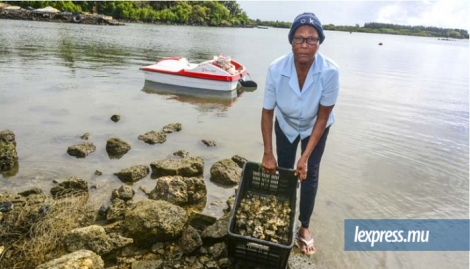 Après presque 50 ans de métier, Rosemay Latiou sait exactement où trouver ses huîtres.