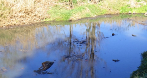 La rivière Tabac est polluée par une eau noirâtre depuis le mois de juillet, période durant laquelle cette photo a été prise. (Photo envoyée par le Kolektif Ecoguard)