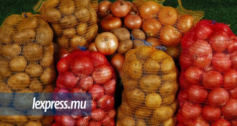 De janvier à juin, le pays a produit 33 000 tonnes de légumes.