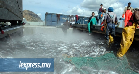 La pêche au thon durable tient compte de la santé des stocks de poisson et de la protection de l’écosystème.
