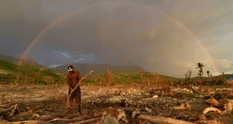 Un homme coupe du bois à Coteaux (sud-ouest de Haïti) théâtre de nombreuses destructions après le passage de l'ouragan Matthew, le 4 novembre 2016.
