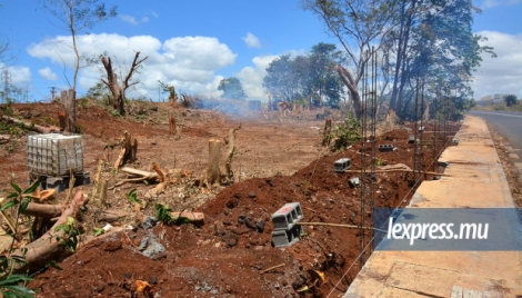 Des «arbres centenaires» ont été abattus sur ce site pour un projet de construction.