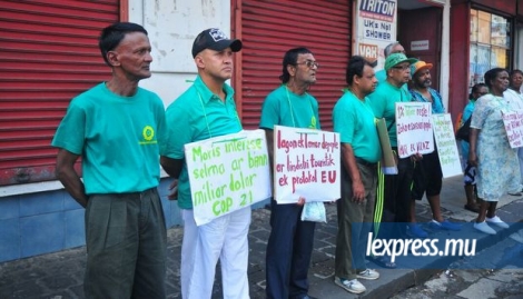 Les Verts Fraternels lors d’une manifestation devant le ministère de l’Environnement à Port-Louis ce jeudi 24 novembre.