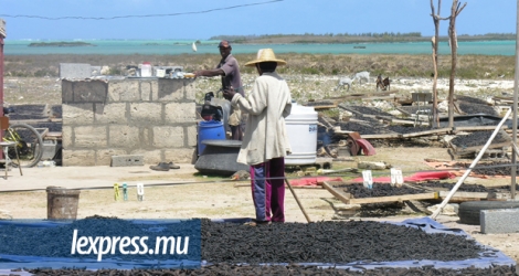  L’élevage de concombres de mer est encouragé par le FPR, qui veut promouvoir l’aquaculture.