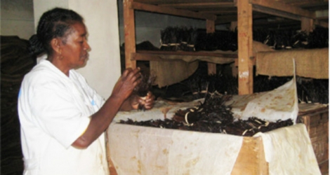 Le Fonds Livelihoods, dont fait partie Danone, annonce des investissements faramineux pour la réorganisation d’une partie de la filière vanille de Madagascar.
