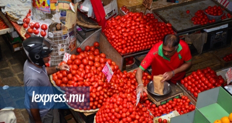 Au marché de la capitale dimanche 17 septembre, la pomme d’amour se vendait à Rs 15 le demi-kilo. [Photos: Rishi Etwaroo]