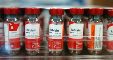 Des flacons de vaccin contre la rage produits par Merial, le 16 août 2004 à Lentilly