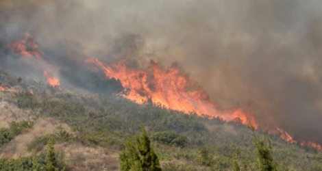 Incendie dans la région d'Orange, en Californie, le 9 octobre 2017