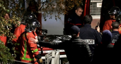 Le corps du tigre évacué par la police, dans le XVe arrondissement à Paris le 24 novembre 2017 