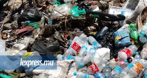 400 tonnes de déchets ont été enlevées de la plage de Tamarin. 