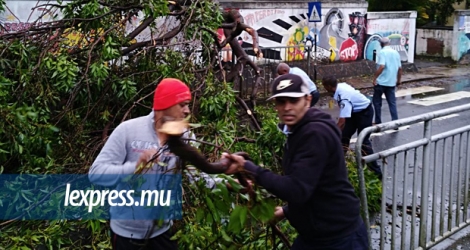 Les arbres tombés sur les routes pendant le cyclone Berguitta ont dû être enlevés par les forces de l’ordre.