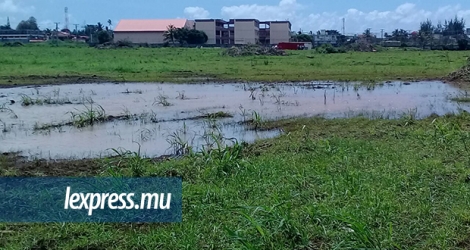 À Riambel, après les pluies de ces dernières semaines, les zones humides font montre de leur utilité.