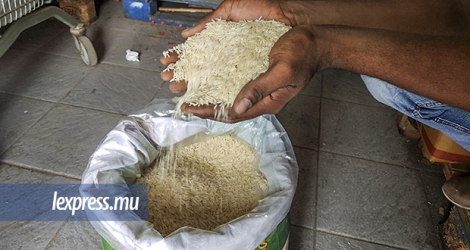 Il a été décidé d’instituer une réglementation d’ici quelques mois sur l’importation du riz basmati.