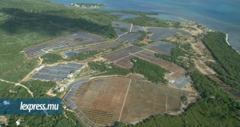 Le Collectif Wetlands Mauritius demande que les projets à proximité des Wetlands soient gelés en attendant que l’ESA Bill soit voté au Parlement.