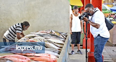 Du poisson exposé au marché de Victoria, aux Seychelles.
