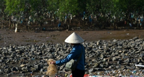 La mangrove recouverte de sacs plastiques dans la province vietnamienne de Than Hoa, le 15 mai 2018.