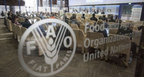 La Food and Agriculture Organization propose actuellement des postes.