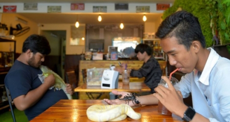 Un client tient un python et un scorpion, en buvant un verre au Reptile Café à Phnom Penh, le 18 août 2018 