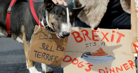 Des propriétaires de chiens et leur animaux domestiques ont manifesté le 7 octobre 2018 à Londres contre le Brexit.