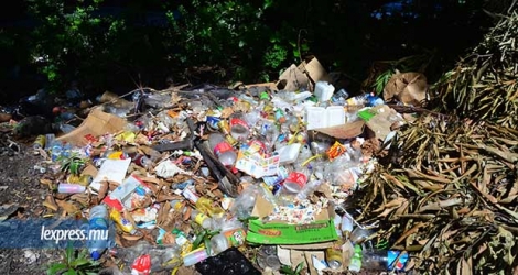 Des bouteilles PET de la marque Coca-Cola ont été retrouvées dans les déchets jetés dans la nature.