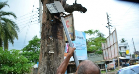 Ohid Sarder, 53 ans, nettoie les arbres des clous et pieux qui les encombrent, le 13 octobre 2018 à Jessore au Bangladesh.