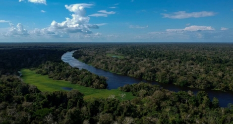 La forêt amazonienne dans l'Etat brésilien de l'Amazonas, le 28 juin 2018