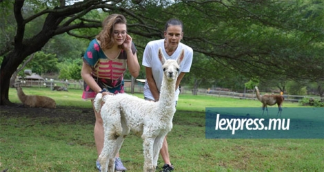 Stephanie de Monaco et sa fille, Camille, en compagnie du dernier né de la famille des lamas.