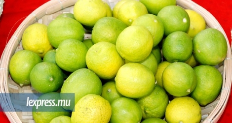 Le limon rodriguais ne peut toujours pas être exporté à Maurice.