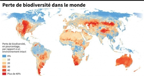 Perte de biodiversité dans le monde.