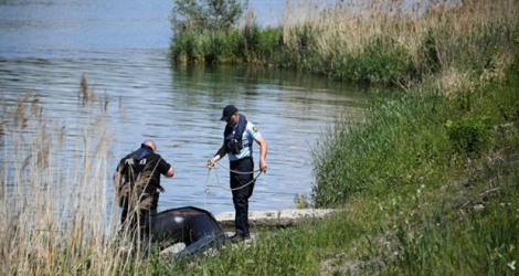 Des gendarmes français et allemands recherchent une fillette de 4 ans tombée dans le Rhin après le chavirement d'un canot pneumatique, le 31 mai 2019 à Gerstheim.