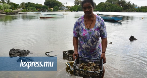 Marie Rosette Camangue sait exactement où elle trouvera des huîtres.