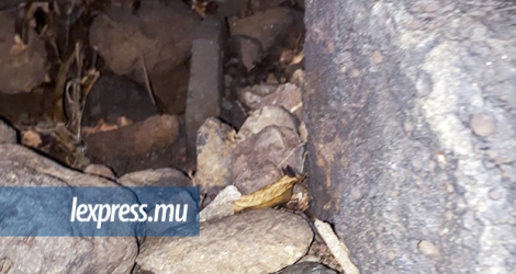 Deux écologistes, en randonnée à Rodrigues en août, y ont découvert trois pans rocheux et un coffre rouillé, entre autres.