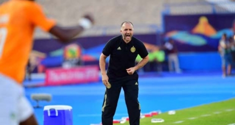 Le sélectionneur de l'Algérie Djamel Belmadi lors de la victoire face à la Côte d'Ivoire en quart de finale de la CAN à Suez le 11 juillet 2019.