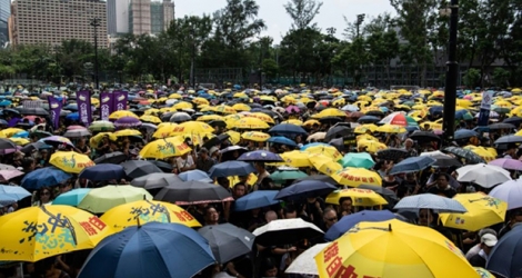 Des manifestants anti-gouvernementaux à Hong Kong le 21 juillet 2019.