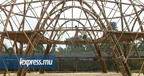 Les habitants seront formés à la réalisation de structures en bambous par Fatima Martin.