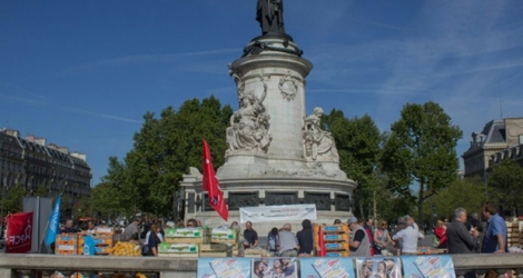 Des producteurs de fruits et légumes vendent leurs produits directement aux consommateurs place de la République à Paris le 22 août 2019.